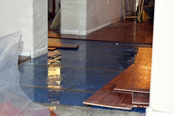Professional Burst Pipe Cleanup technician working in Carnegie, OK